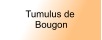 Tumulus de  Bougon