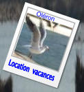 Location  vacances Oléron