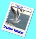 Location  vacances Oléron