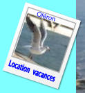 Location  vacances Oléron
