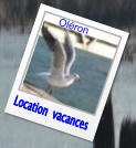 Location  vacances Oléron