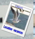 Location  vacances Oléron