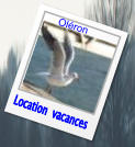 Location  vacances Oléron