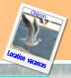 Location  vacances Oléron