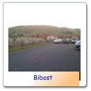 Bibost