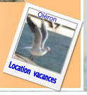 Location  vacances Oléron